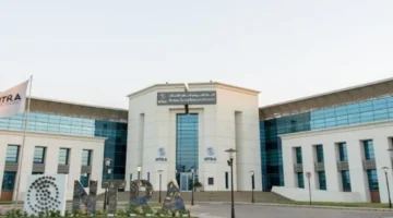 10 ملايين هاتف محمول.. خطة مصرية طموحة لتوطين الصناعة وزيادة الإنتاج المحلي